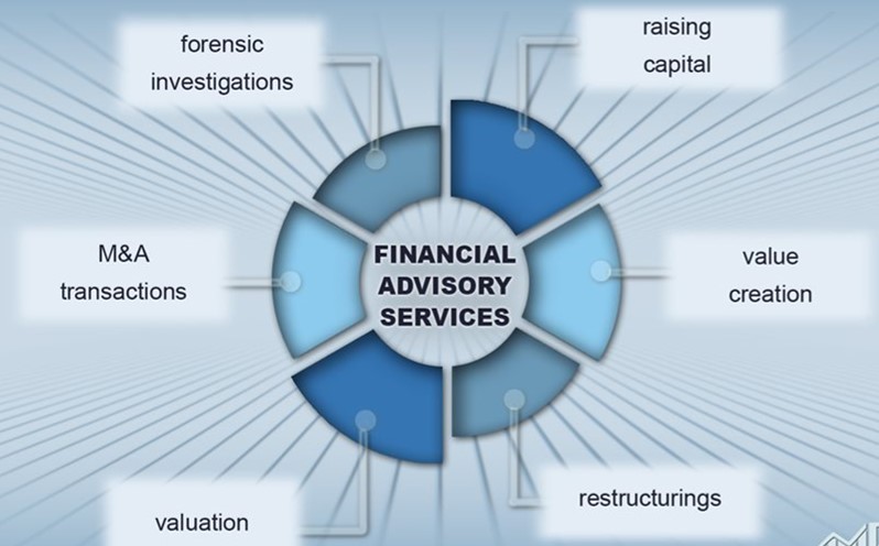 Financial Consultancy to Government & Private Organisations